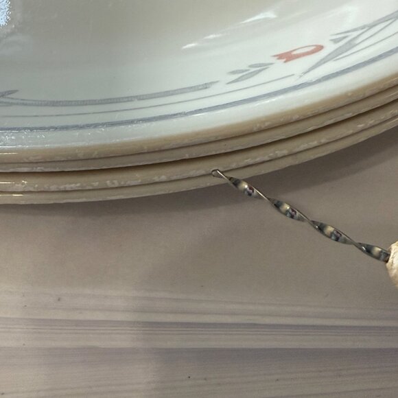 Corelle By Corning Rose Tulip Floral Rim 4 Dinner Plates 10.25 inch USA FLAW - Picture 6 of 7